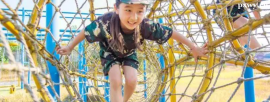 http://www.dedgn.cn/school-2659/document-id-27303.html