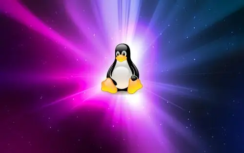 LinuxӖCôx