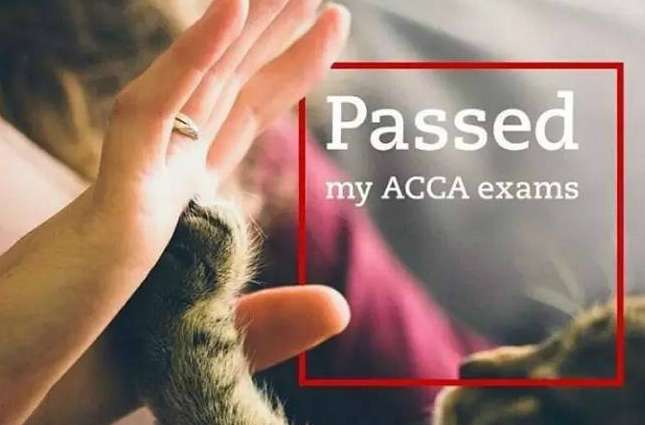 ACCAԇPAεİЩԇĿ