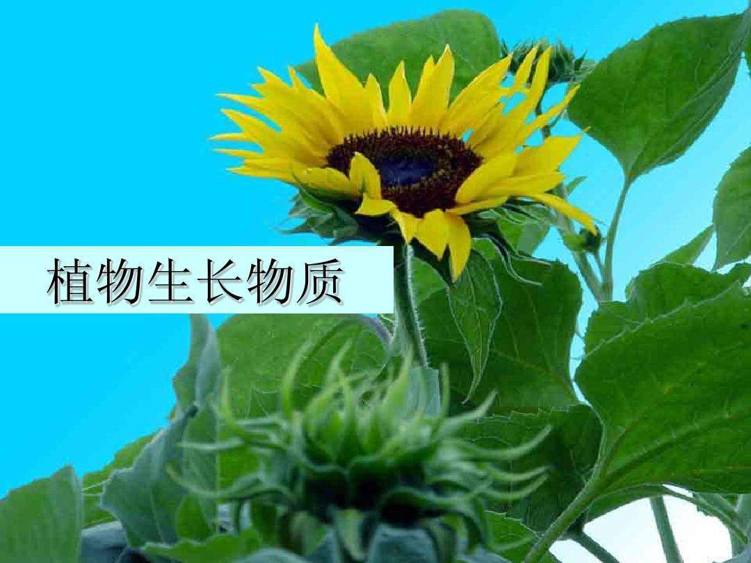 2022Ӗ(xn)r(nng)W(xu)ָ(do)ֲ֮L(zhng)|(zh)