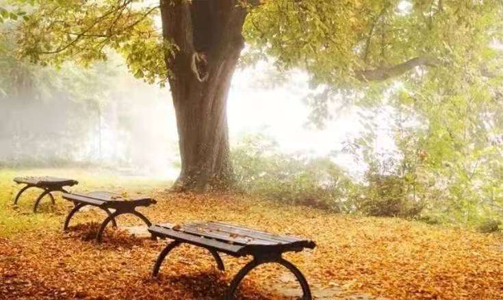 ν̺ӣԽb6NHӽ