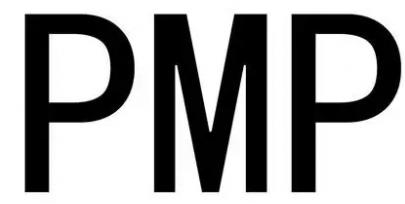 PMPԇӖĿı|ʲô?