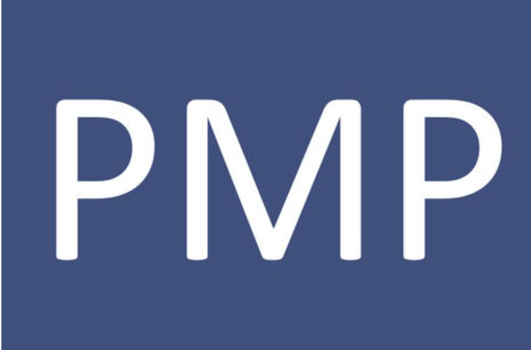PMP®ԇY(ji)ԃɿ