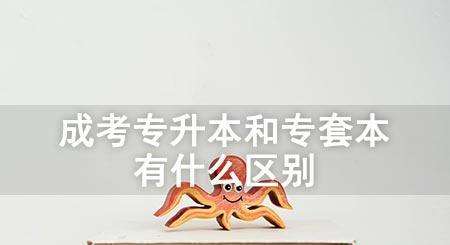 (bo)˸߿͌ױʲô^(q)e