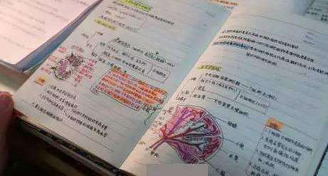 ԌWԇǰӱc