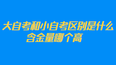 ӴСԌW(xu)ԇʲô^(q)e
