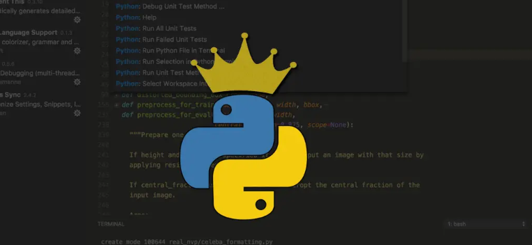 Wpythonʲô
