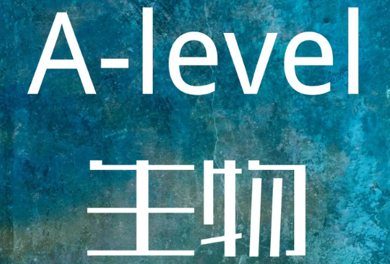 alevelԇЩݣ