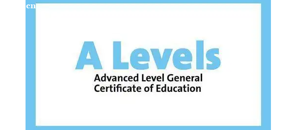 ALEVELԇʲôʲôã