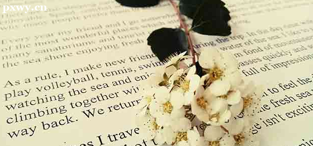 210ܿʲôW? kƌWУЩ
