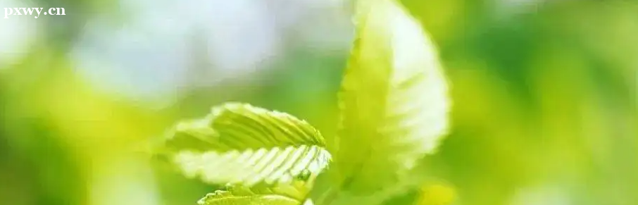 2022߿(bo)־Ը ͼЩ