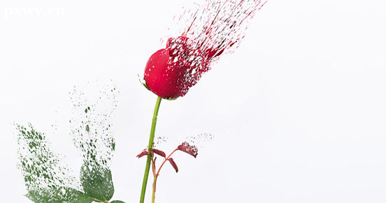 2022ԿϰʿCӡrg δӡ