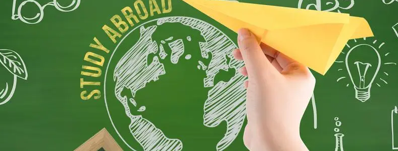 WCôӣ