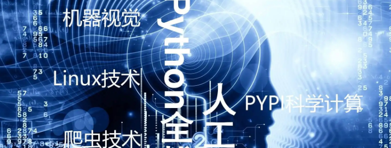 Pythonȫ+˹nӖ