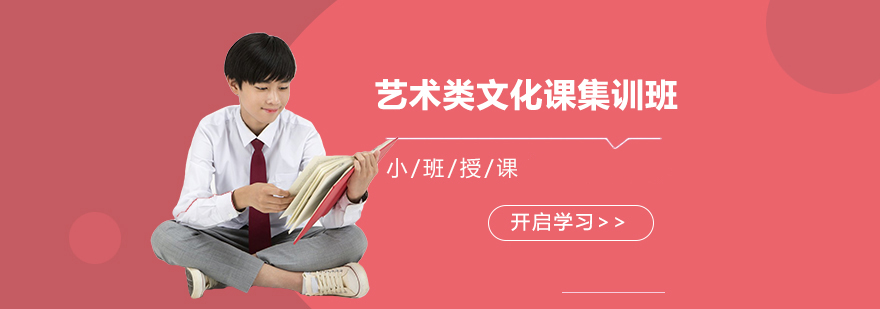 藝術(shù)類文化課集訓班