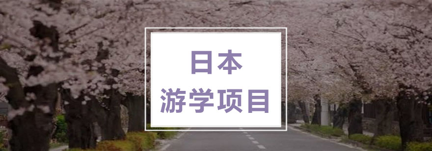 日本游學項目