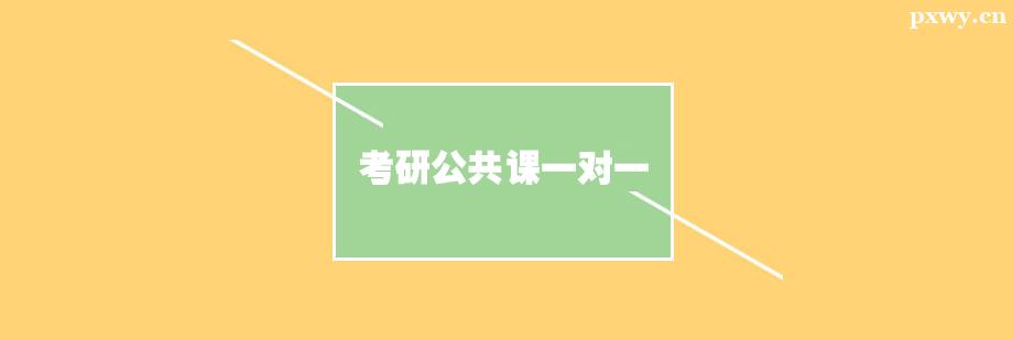 考研公共課一對一輔導課程