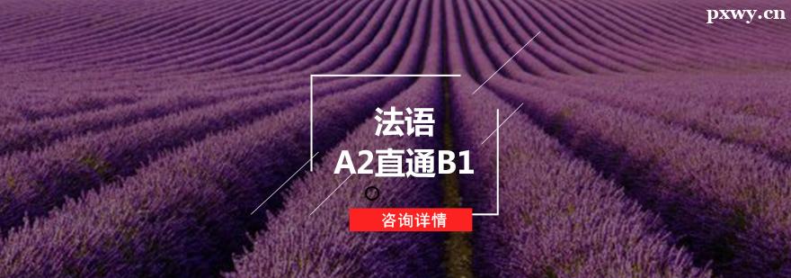 法語A2直通B1培訓(xùn)班