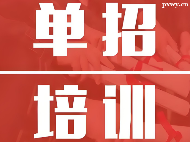河北單招培訓暑假班招生