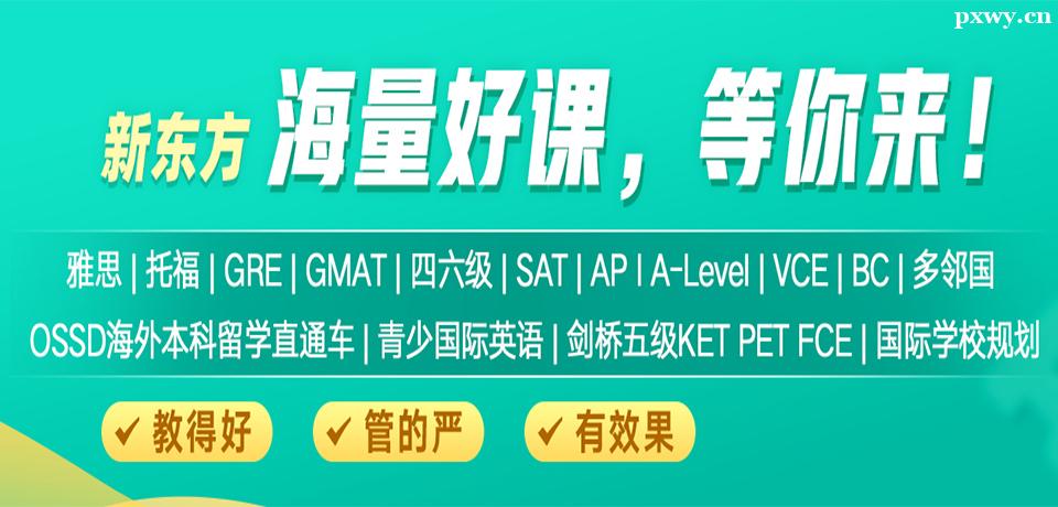 國際學科先行班