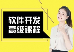 軟件開發高級課程