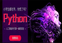 Python_lnӖ