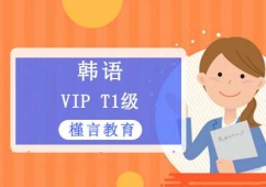 nZVIPT1Ӗn