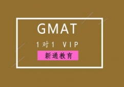GMAT11VIPӖ