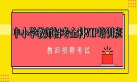 ƼlСW̎пȫVIPӖ