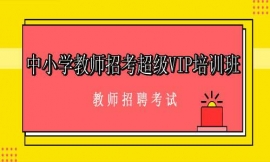 ƼlСW̎пVIPӖ