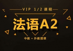 ɶZA2 VIPnӖ