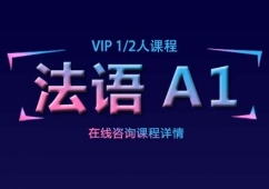 ɶZA1 VIPnӖ