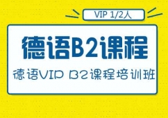 ɶZVIP B2nӖ