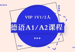 ɶZVIP A1/A2nӖ