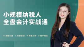 漢中小規模納稅人全盤會計實戰通