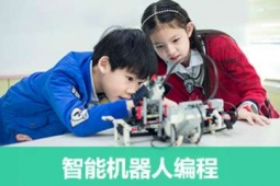 廈門(mén)人工智能編程培訓(xùn)課程