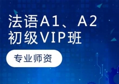 LZA1A2VIPӖ