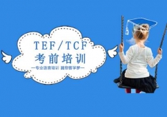 TEF/TCFǰӖ