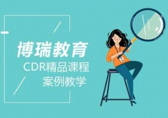 ϷCDRƷnӖ