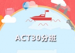 VACT30Ӗ