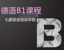 ZB1Ӗ