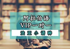成都阿拉伯語VIP一對一培訓班