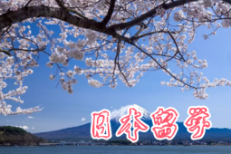 ձW(xu)Ո(qng)(w)(jin)