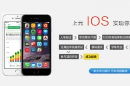 ʏIOS_l̎Ӗ