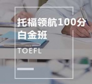 VиI100ְ׽