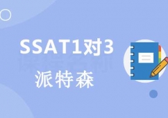 (yng)SSAT1(du)3Ӗ(xn)