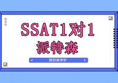 (yng)SSAT1(du)1Ӗ(xn)
