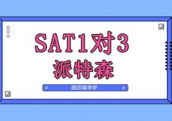 SAT13Ӗ
