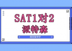 SAT12Ӗ