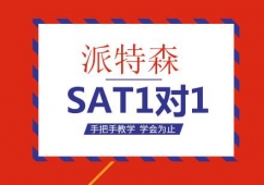 SAT11Ӗ